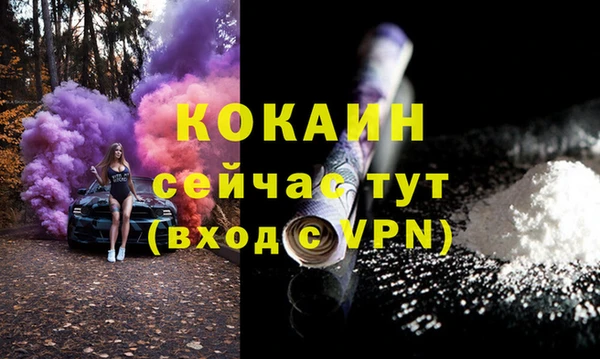 шишки Абинск