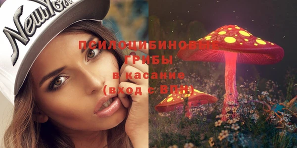 шишки Абинск
